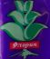 Флорин
