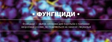 Фунгіциди Мілка Фасовка
