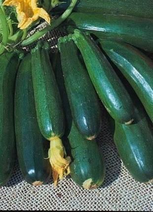 Насіння кабачка Аеронавт