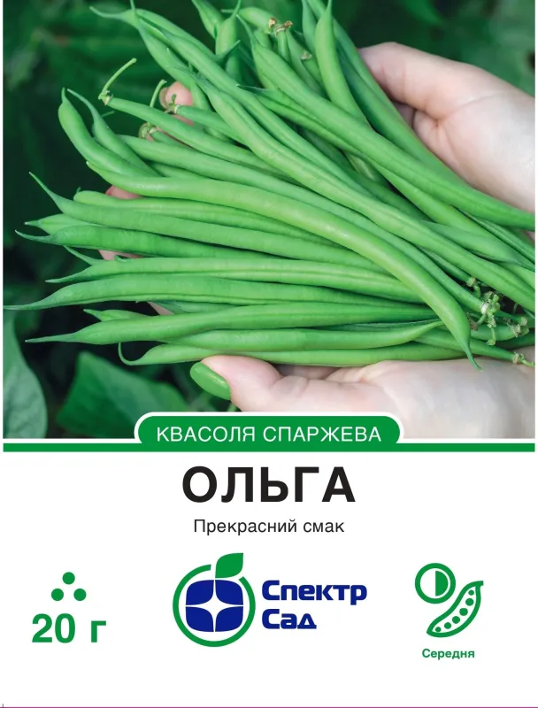 Ольга, насіння квасолі спаржевої 