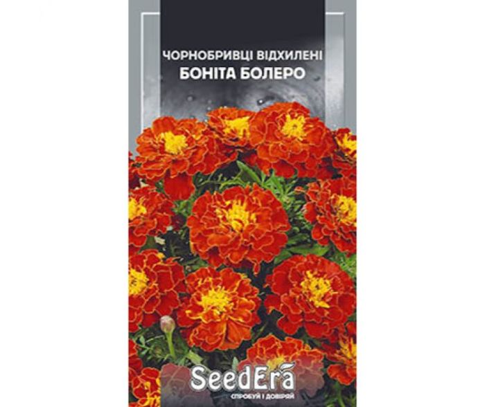 Насіння квітів Чорнобривці відхилені Боніта Балеро