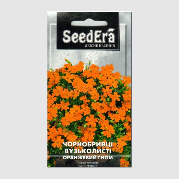Насіння квітів Чорнобривці вузьколисті оранжевий гном