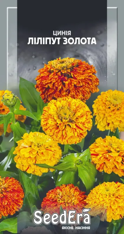 Насіння квітів Цинія Ліліпут Золота