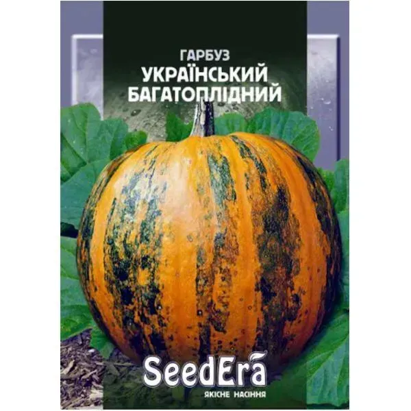 Насіння гарбуза Український багатоплідний SeedEra