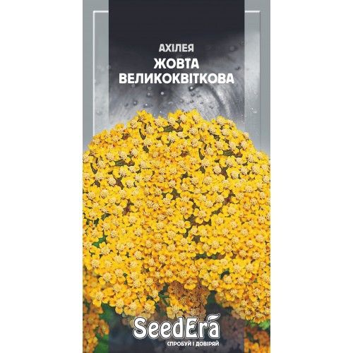 Насіння квітів Ахілея Жовта Великоквіткова