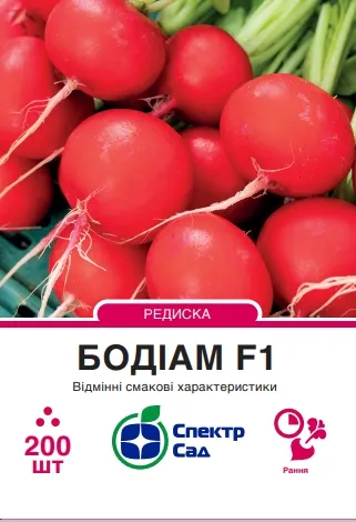 Бодіам F1, насіння редиски 