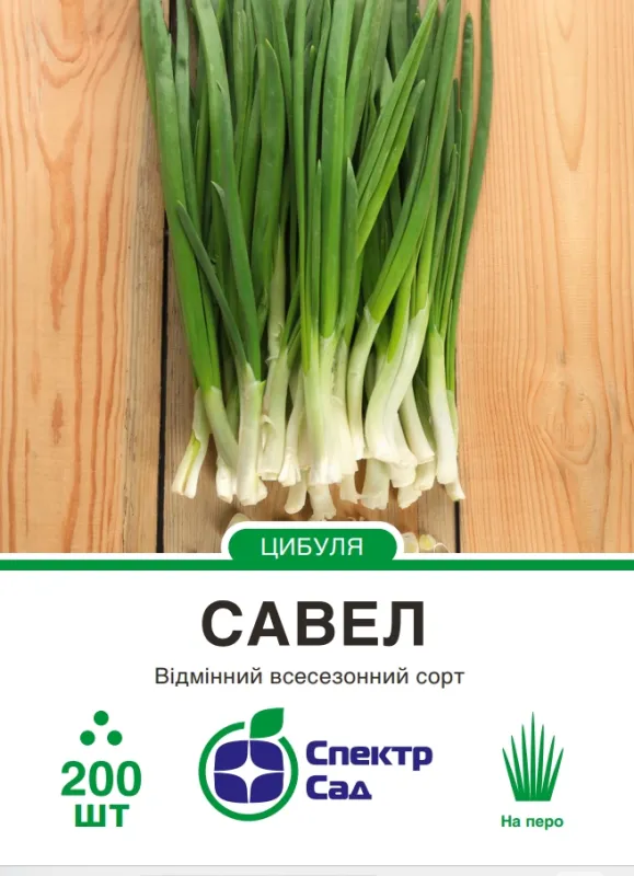 Насіння цибулі Савел