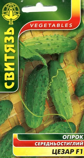 Насіння огірка Цезар F1