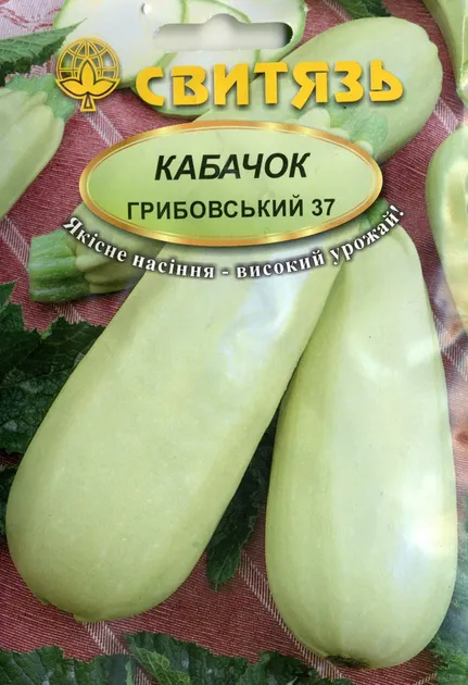 Насіння кабачка Грибовський37
