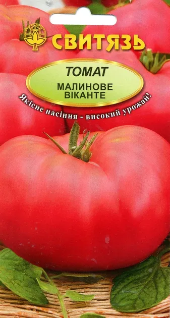 Малинове Віканте, насіння томату 