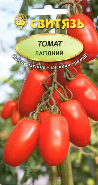 Лагідний, насіння томату