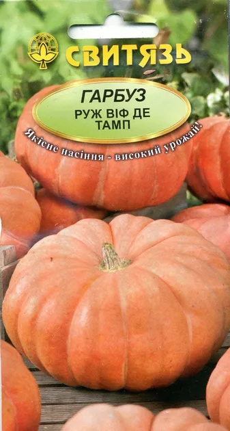  Руж віф де тамп, насіння гарбуза
