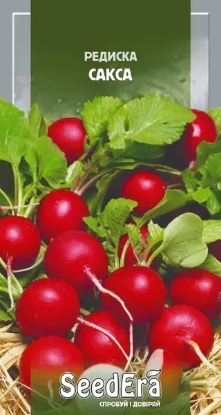 Насіння редиски Сакса