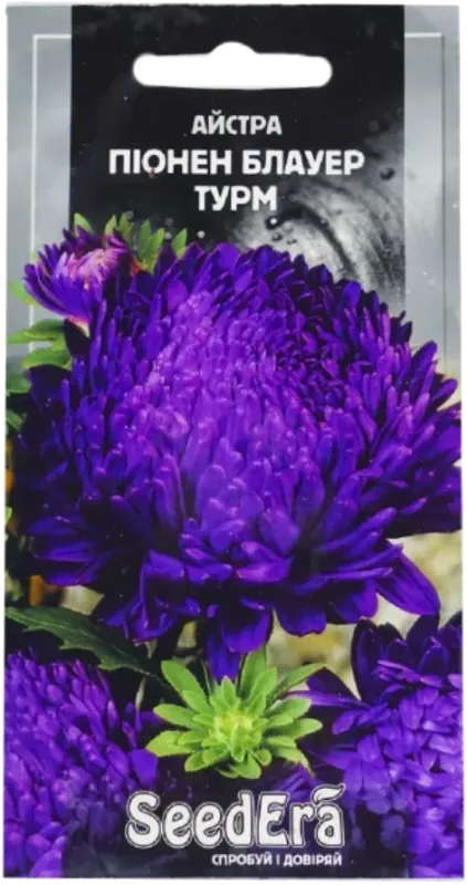 Насіння квіиів Айстра Піонен Блауер Турм