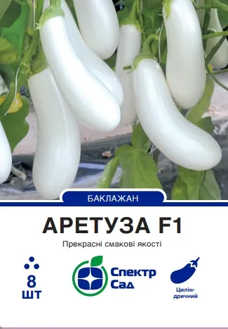 Насіння баклажану Аретуза F1