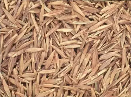 Насіння трави Стоколос