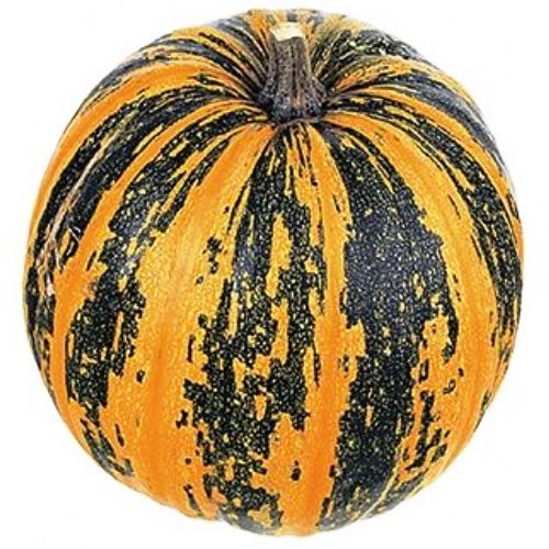 Насіння гарбуза Турка