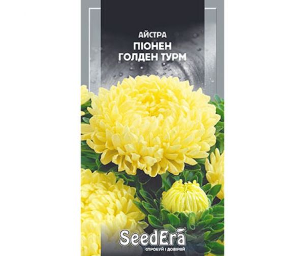 Насіння квітів Айстра Піонен Голден Турм