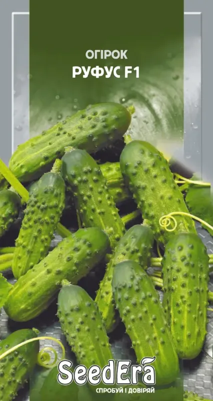 Насіння огірка Руфус F1