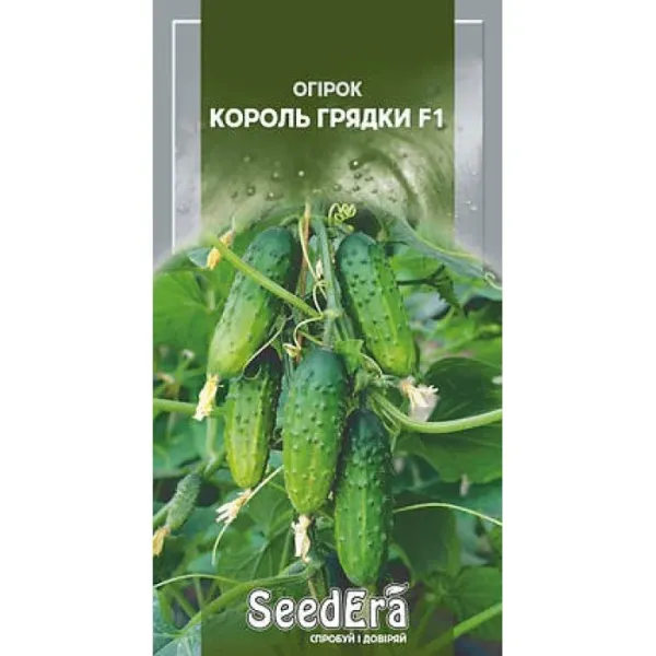 Насіння огірка Король грядки F1