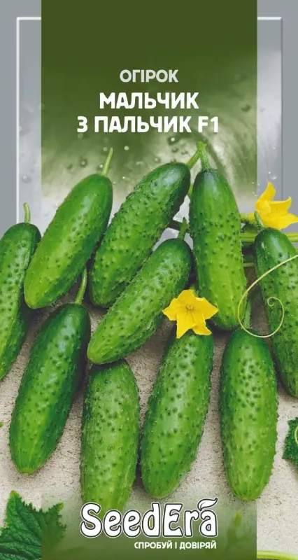 Насіння огірка Мальчик з пальчик F1