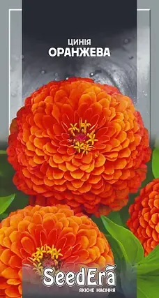 Насіння квітів Цинія Оранжева високоросла