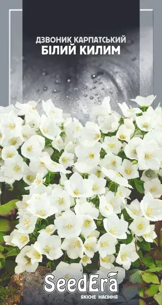 Насіння квітів Дзвоник карпатський Білий килим