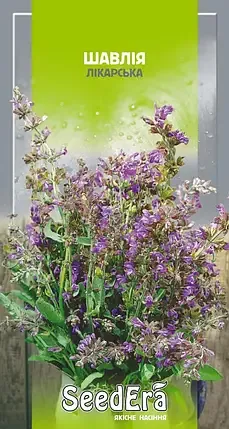 Насіння шавлії лікарської