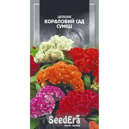 Насіння квітів Целозія Кораловий сад суміш