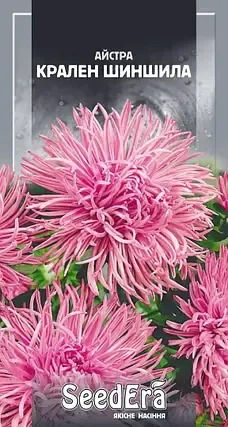 Насіння квітів Айстра Крален Шиншила
