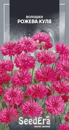 Насіння квітів Волошка Рожева куля