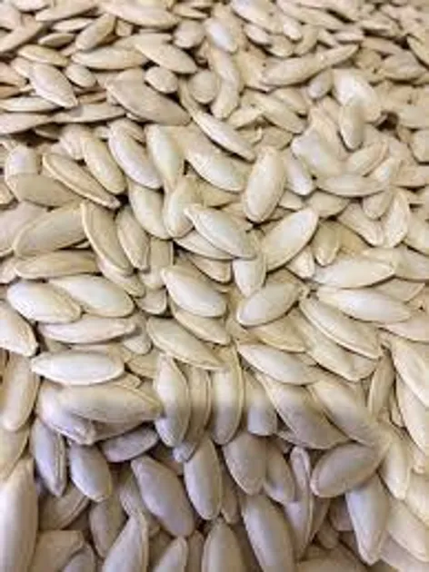 Насіння гурбуза Болгарка (Дамський ніготь)