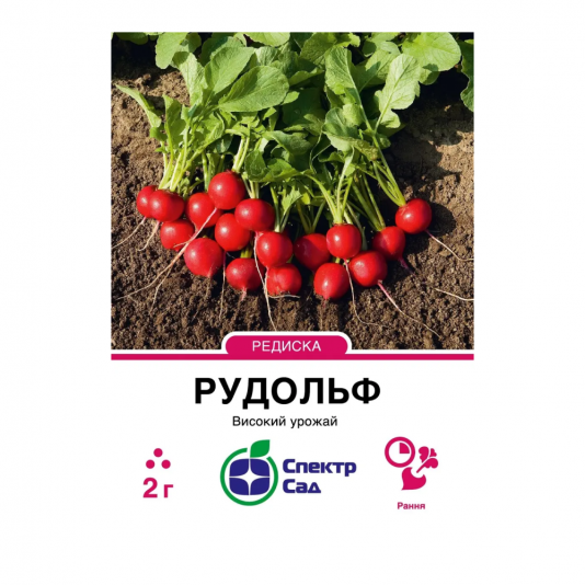 Насіння редьки  Рудольф