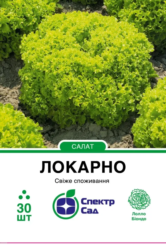 Насіння салату Локарно