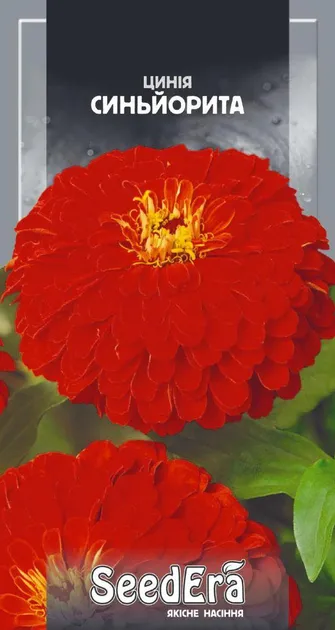 Насіння квітів Цинія Сеньйорита