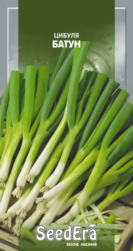 Насіння цибулі Батун