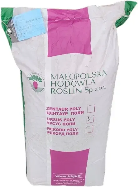 Насіння кормового буряка Урсус Полі