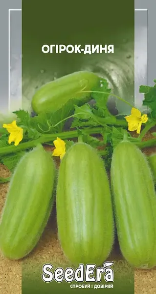 Насіння рослини Огірок-Диня