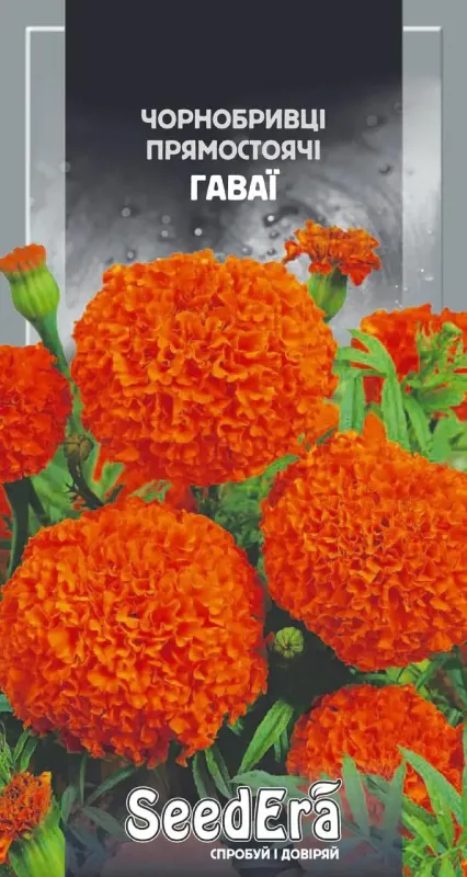 Насіння квітів Чорнобривці прямостоячі Гаваї