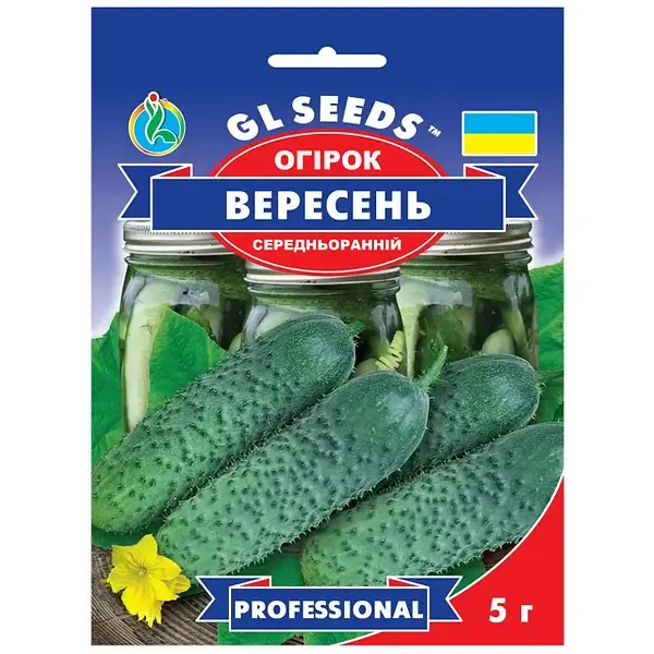 Насіння огірка Вересень