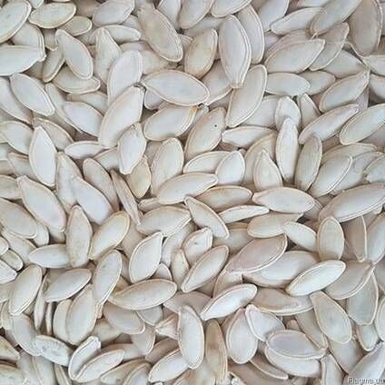 Насіння гарбуза Турка