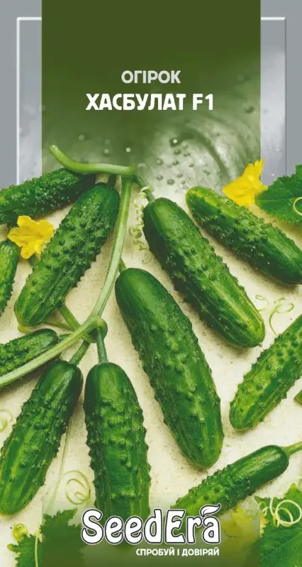 Насіння огірка Хасбулат F1