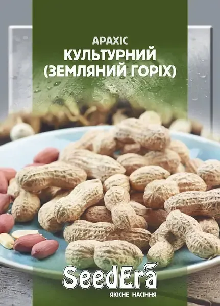 Насіння Арахіс Культурний (Земляний горіх)