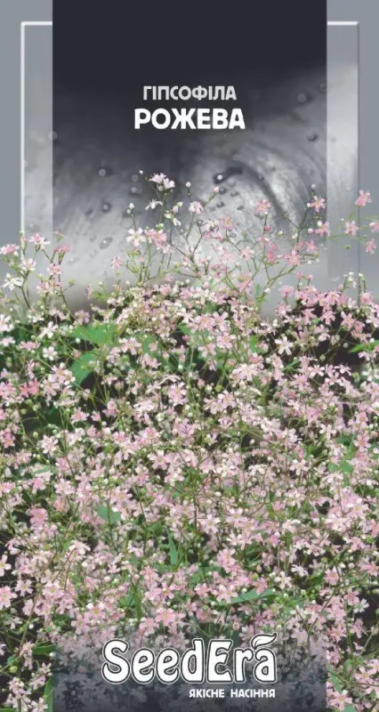 Насіння квітів Гіпсофіла рожева