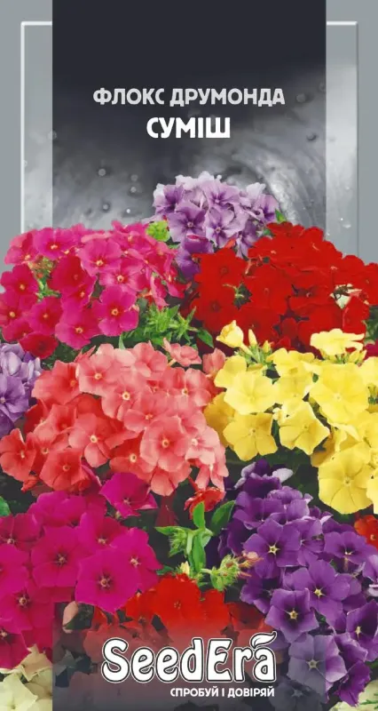 Насіння квітів Флокс Друмонда суміш