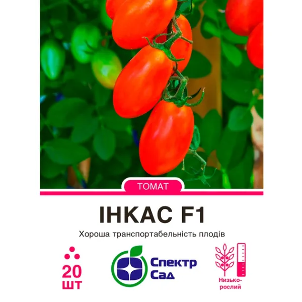 Насіння томату Інкас F1