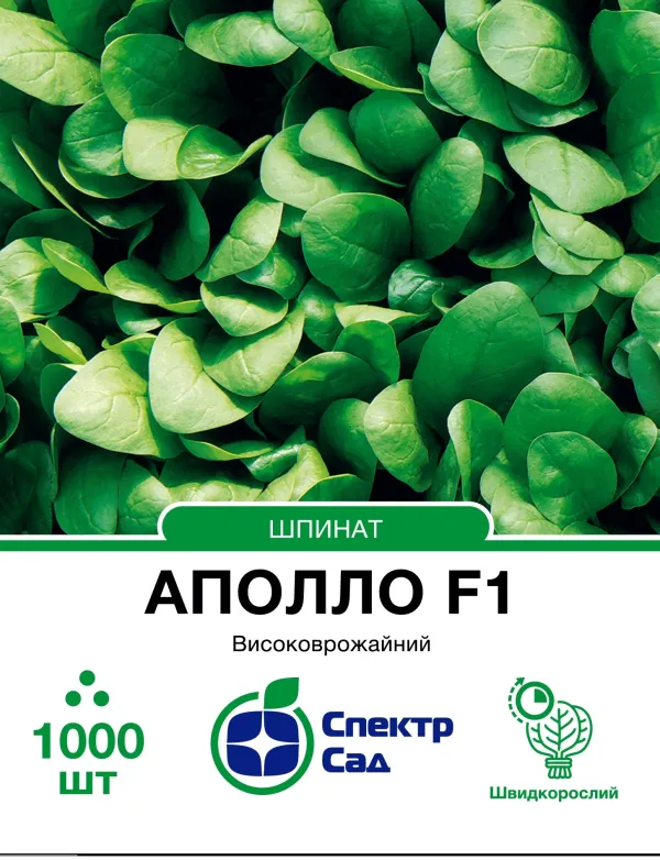 Насіння шпинату Аполло F1
