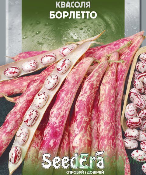 Насіння квасолі спаржевої Борлетто