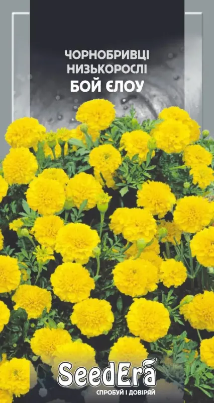 Насіння квітів Чорнобривці низькорослі Бой Єлоу