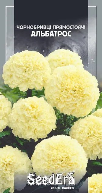 Насіння квітів Чорнобривці прямостоячі Альбатрос